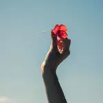 A woman holds a poppy in the air