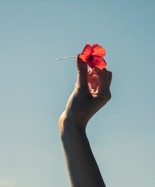 A woman holds up a red poppy flower in the sky